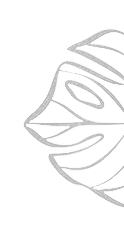 m6