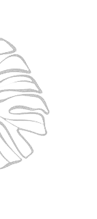 m7