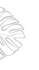 m7