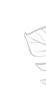 m5