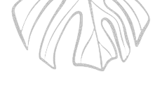 m4