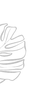 m8
